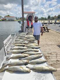 Large Speckled Trout