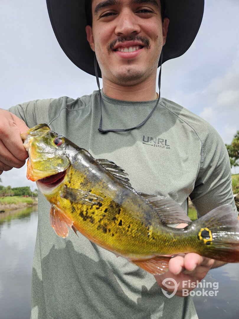 Delray Beach Report Photo 0