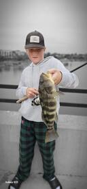 Spotted Bay Bass have been biting