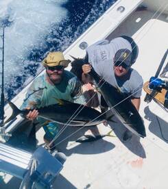 Bermudafull weather last couple weeks!