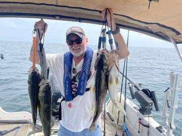 Buffalo Report Photo 2