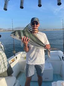 San Jose del Cabo Report Photo 2