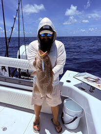 Lemon Bay Report Photo 2