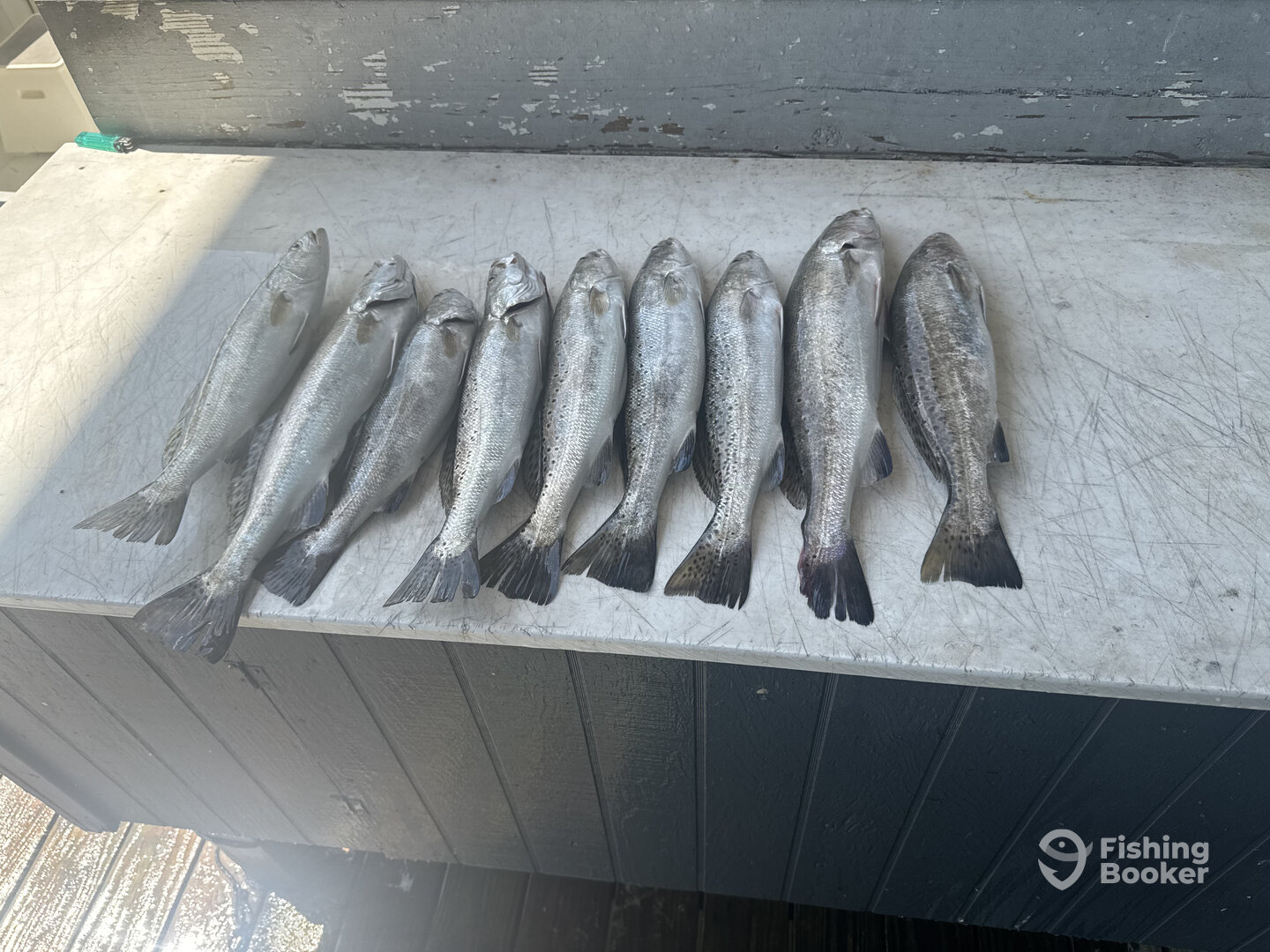 Galveston Report Photo 0