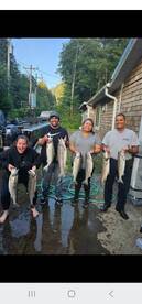 Ocean Coho 