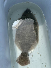 Somers Point Report Photo 4