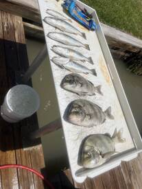 Matagorda Report Photo 1