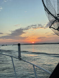 Catawba Island Report Photo 1
