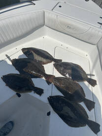Decent Fluke pick 