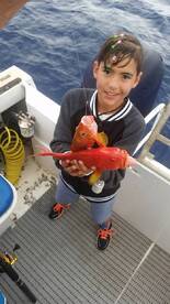 Cuvu Report Photo 1