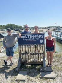 Another day, another limit!