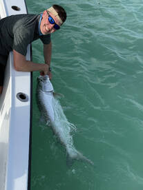 Late June Tarpon