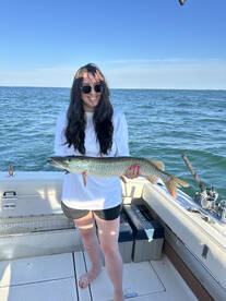 St. Clair Shores Report Photo 2