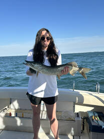 St. Clair Shores Report Photo 1