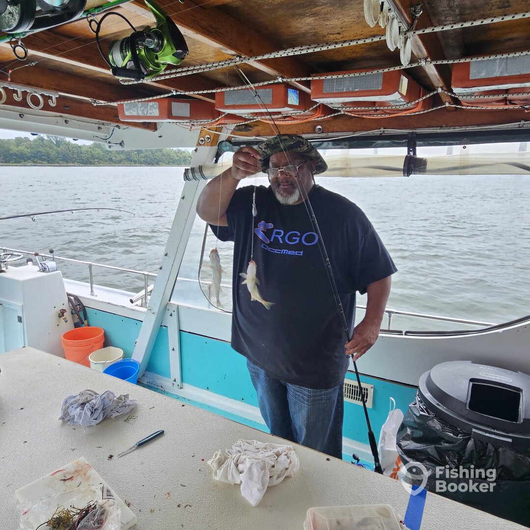 Solomons Report Photo 0