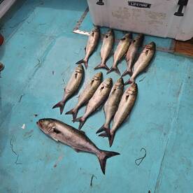 Chesapeake Beach Report Photo 2