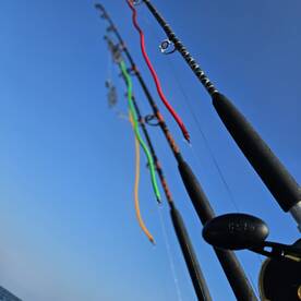 Chesapeake Beach Report Photo 2