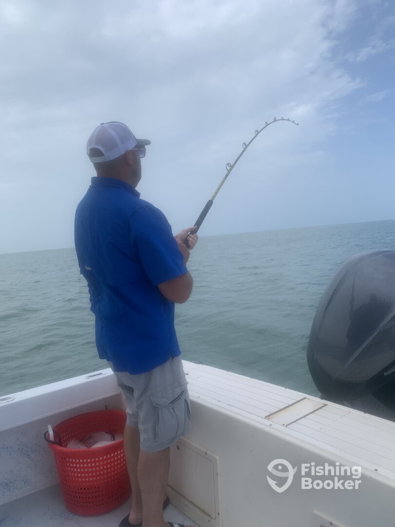 Bonita Springs Report Photo 0