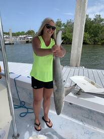 Bonita Springs Report Photo 1
