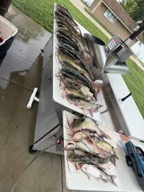 Benton Report Photo 1