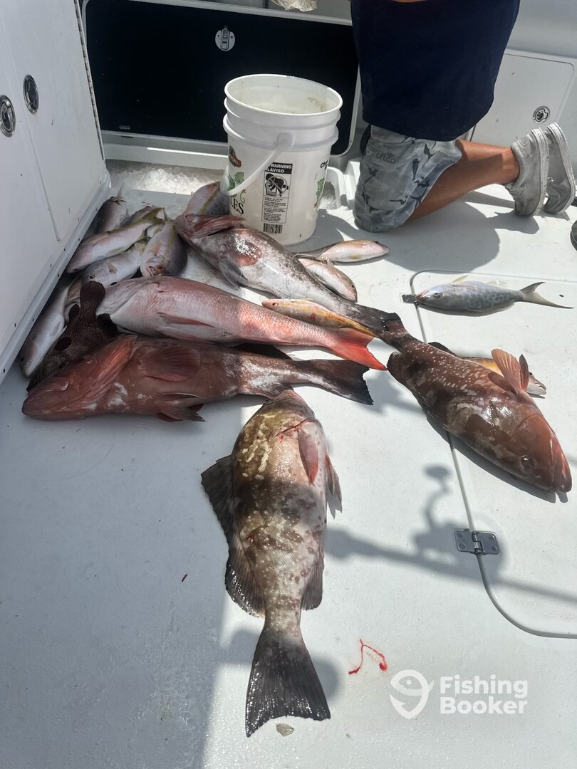 Key West Report Photo 0
