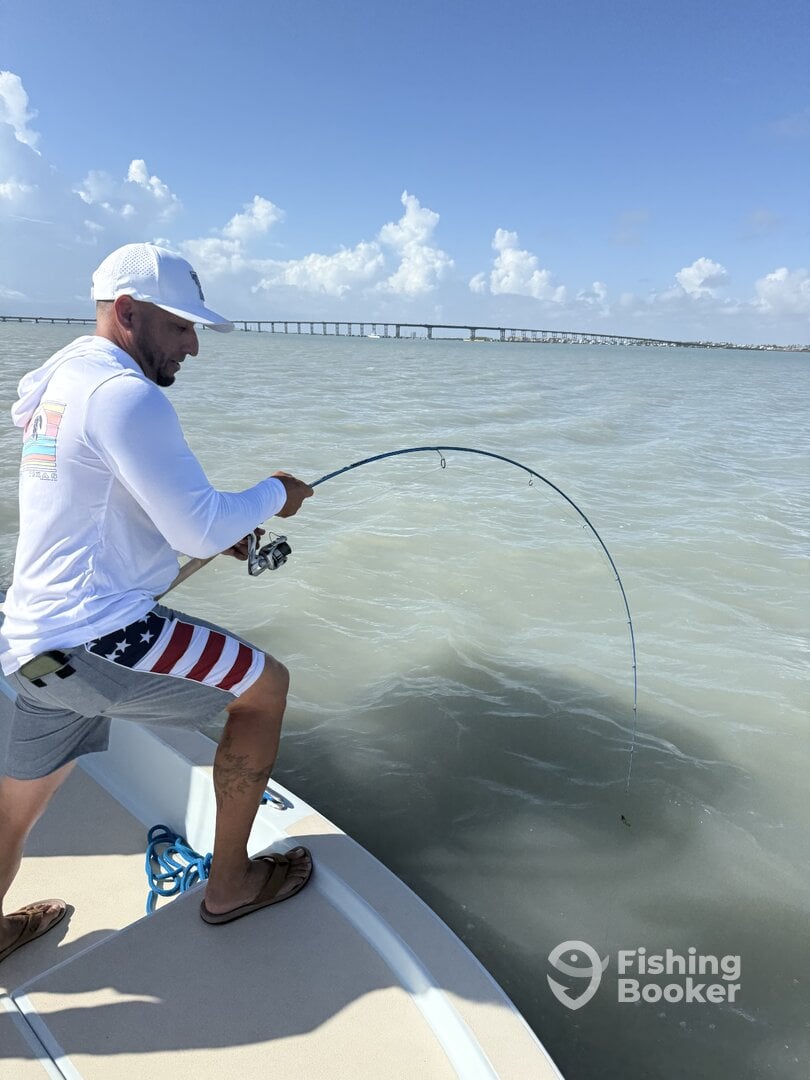 South Padre Island Report Photo 0