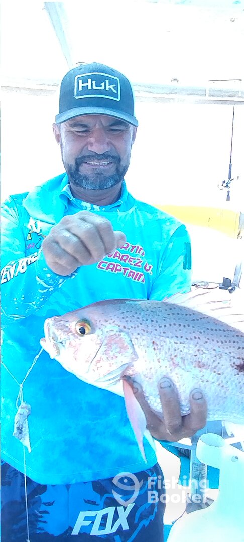 Puerto Peñasco Report Photo 0