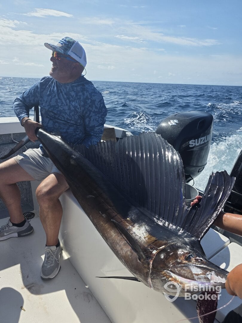 Puerto Vallarta Report Photo 0