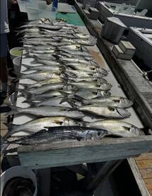 Limited out on a 4hr trip