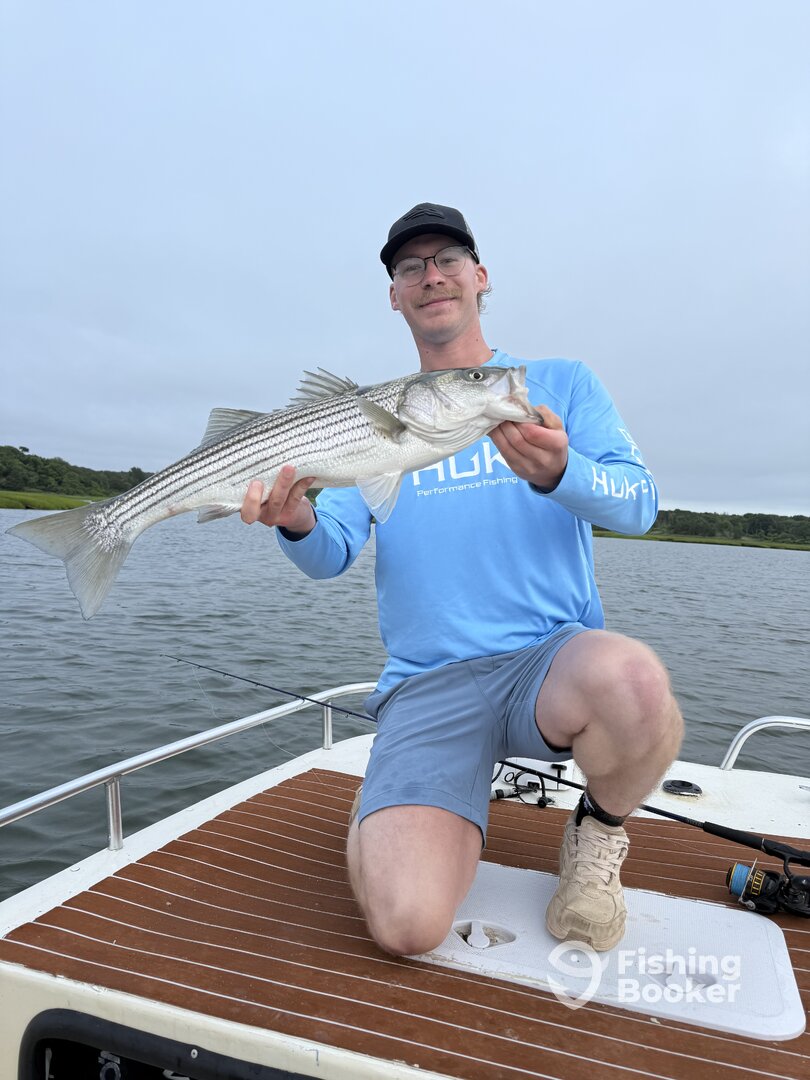 Barnstable Report Photo 0