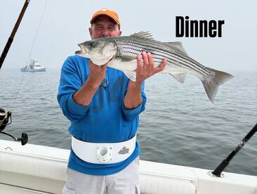 Dennis Report Photo 1