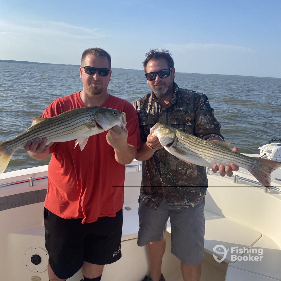 Nanticoke Report Photo 0