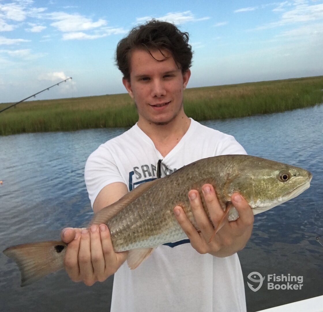 New Orleans Report Photo 0