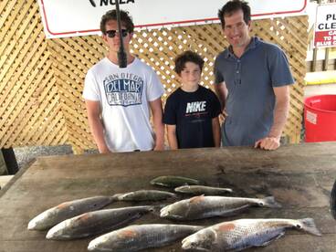 New Orleans Report Photo 2