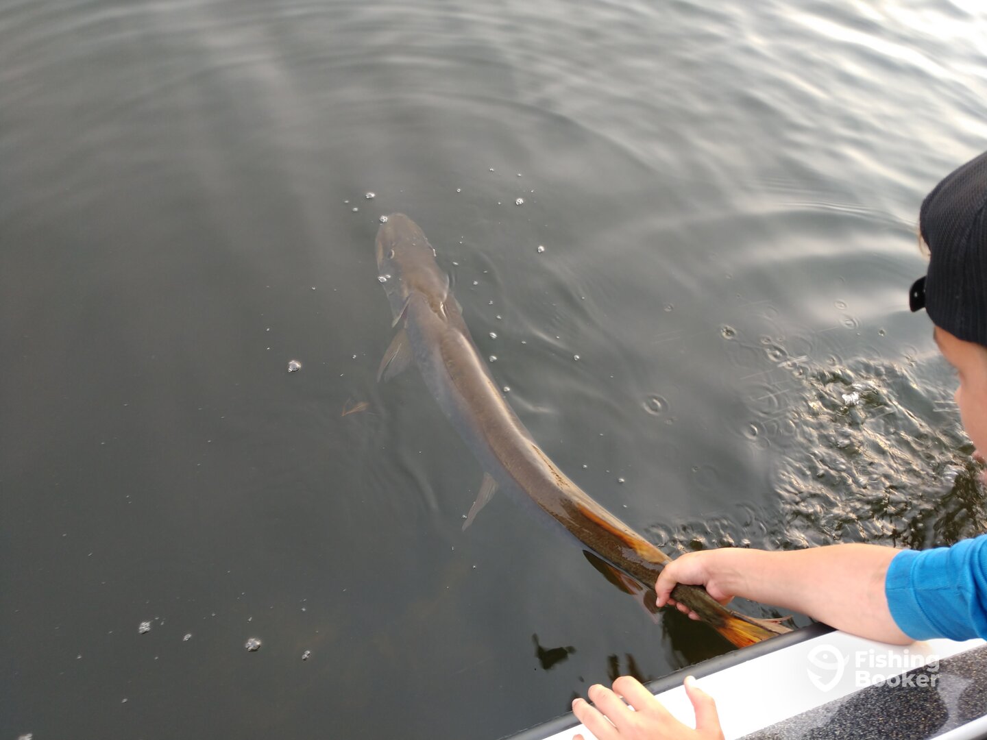 White Bear Lake Report Photo 0