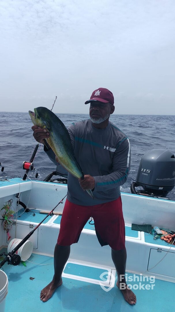 Playa Del Carmen Report Photo 0