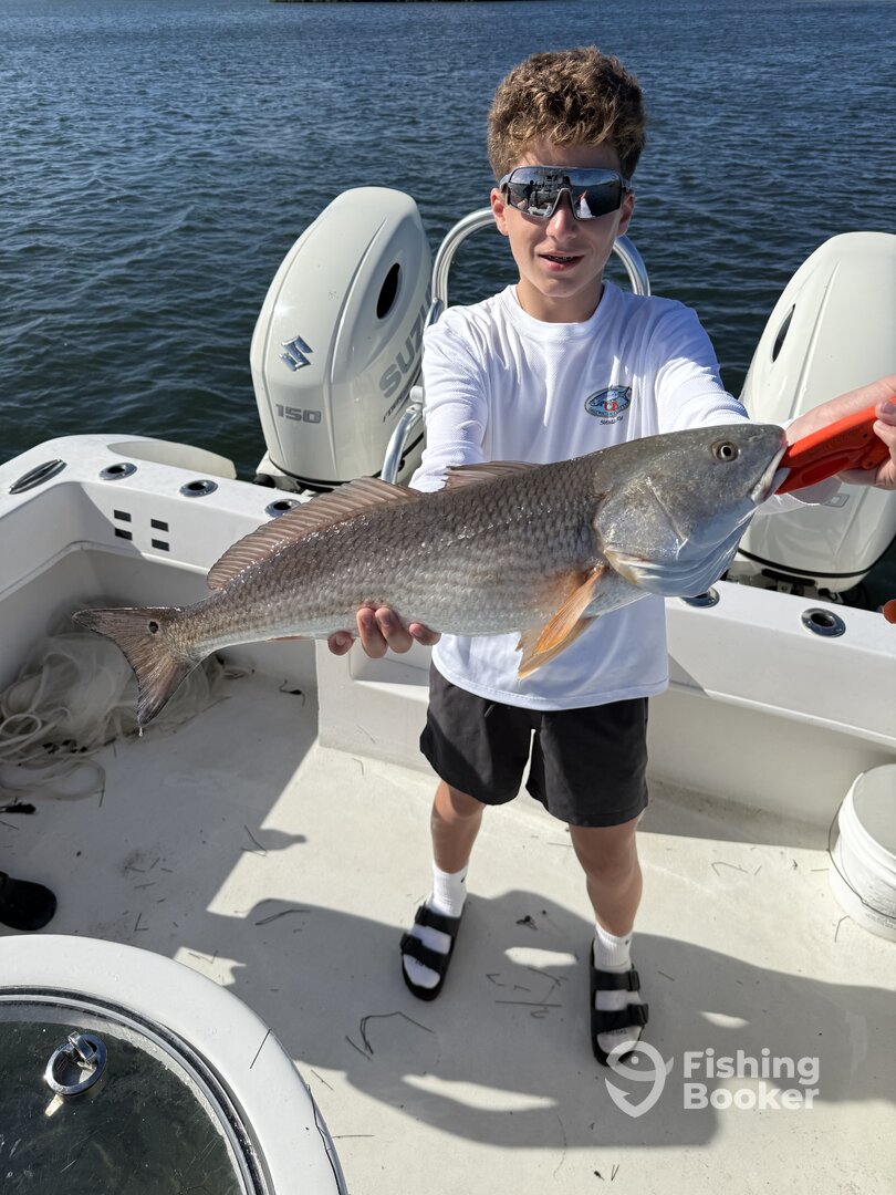 Siesta Key Report Photo 0