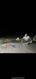 3 10 foot tigers in a night