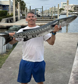 Big Barracuda 