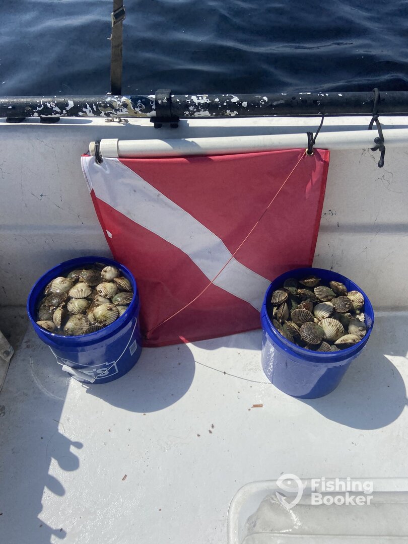 Steinhatchee Report Photo 0
