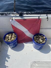 Steinhatchee Report Photo 1