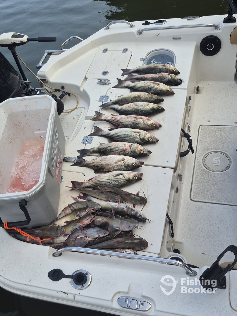 Lake Conroe Report Photo 0