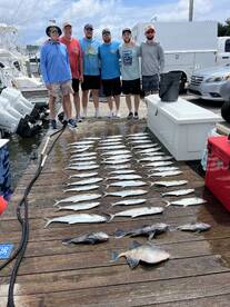 Manteo Report Photo 2