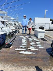 Manteo Report Photo 2