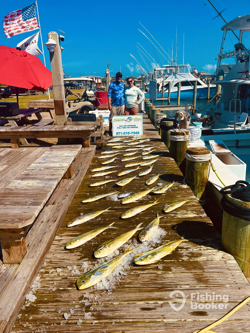 Hatteras Report Photo 0
