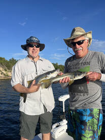 St. Petersburg Report Photo 2