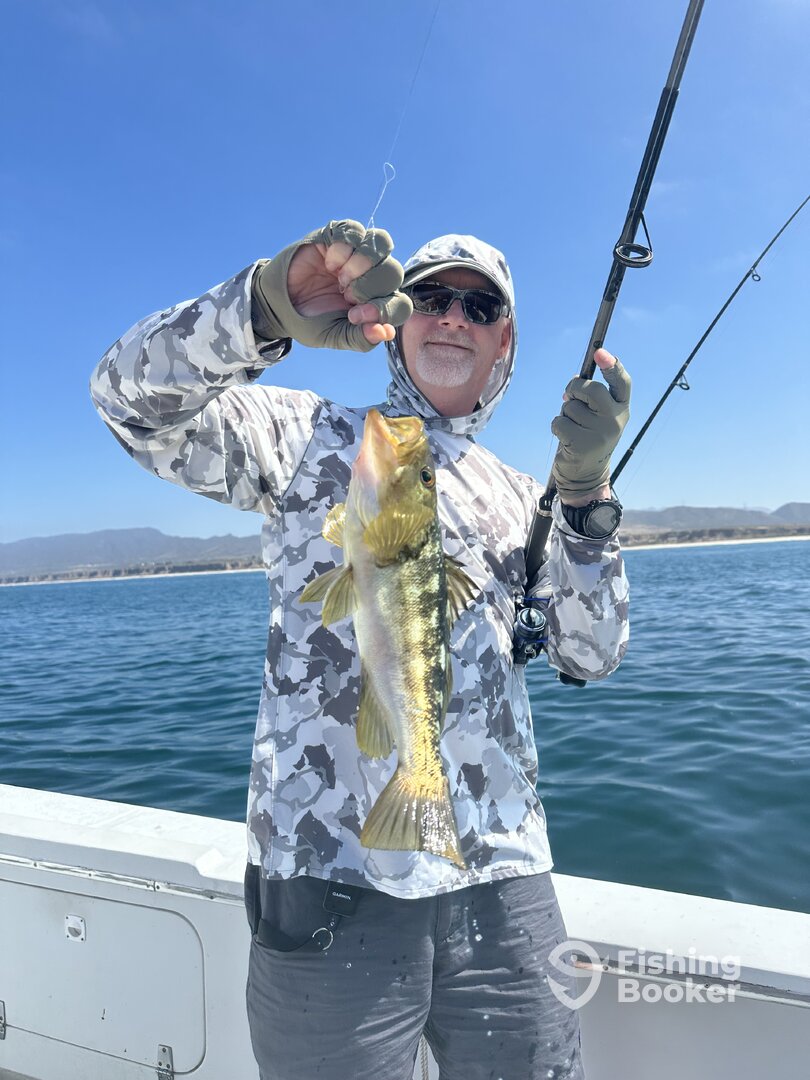 Oceanside Report Photo 0