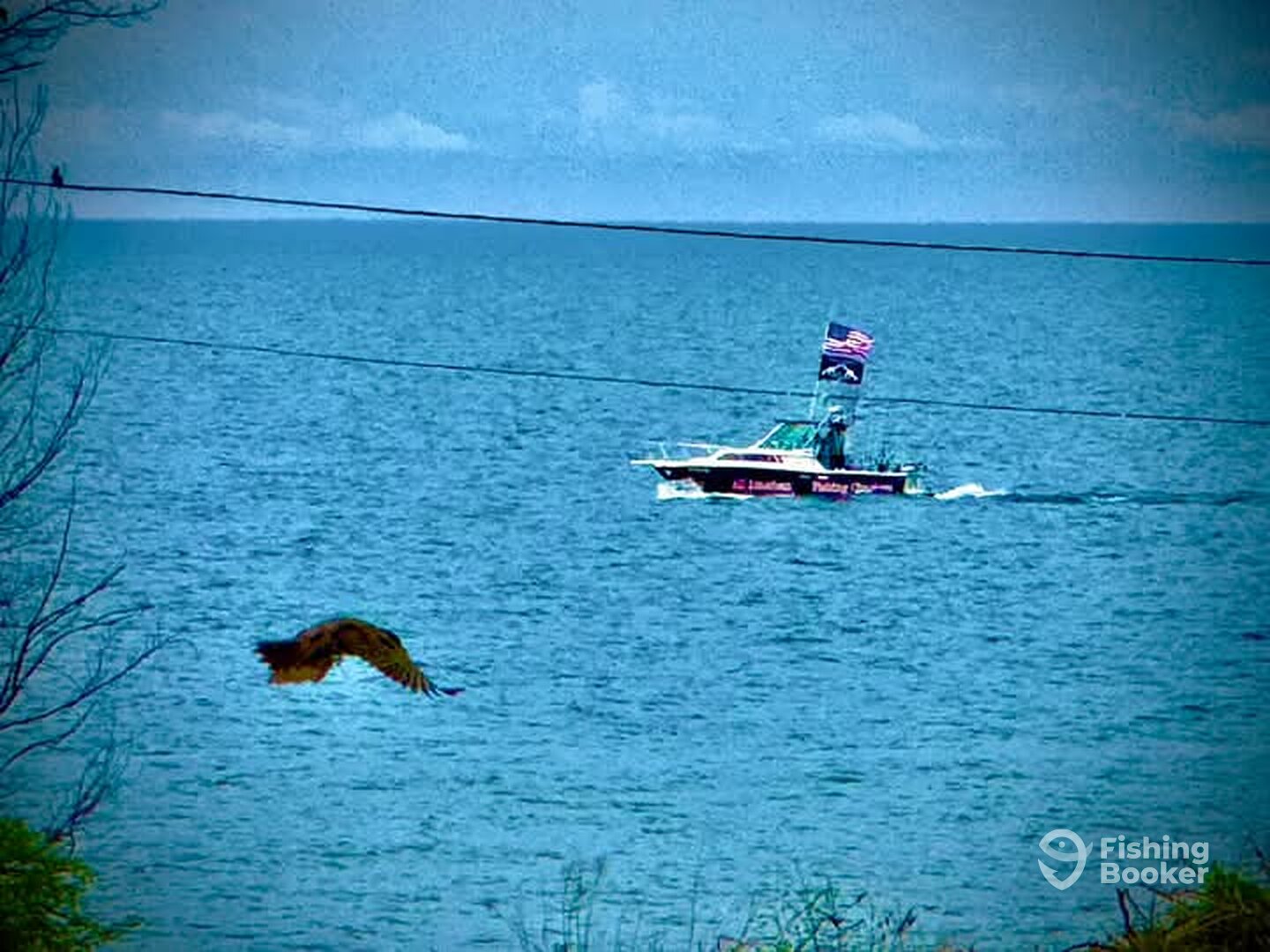 Williamson Report Photo 0