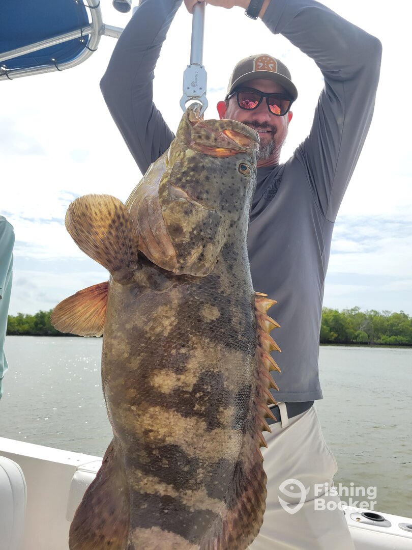 Marco Island Report Photo 0