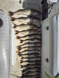 Geneva-on-the-Lake Report Photo 2